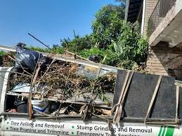 Best Commercial Junk Removal  in Anamosa, IA