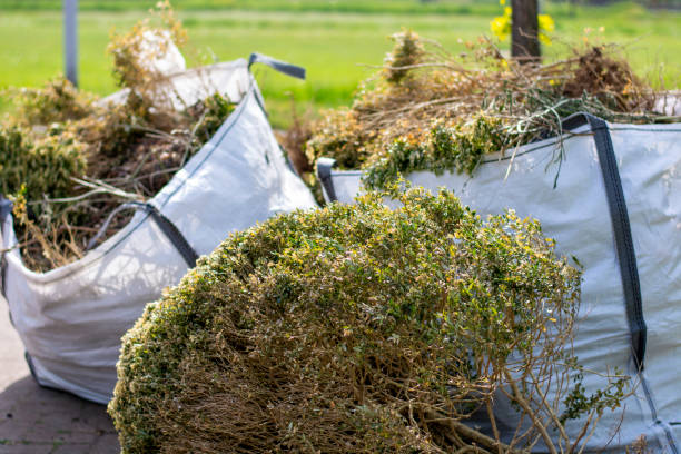 Best Furniture Removal  in Anamosa, IA